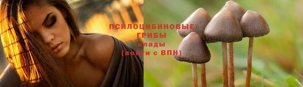 прущие крисы Козельск
